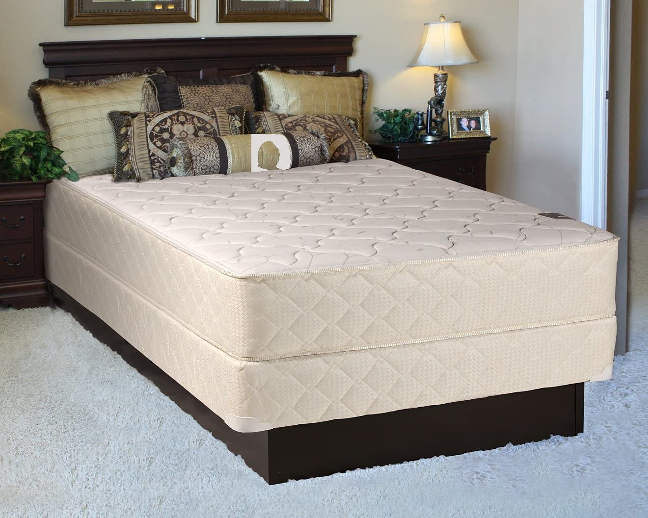 Dream Sleep Twin Size Comfort Rest Gentle Firm Mattress and Box Spring Set