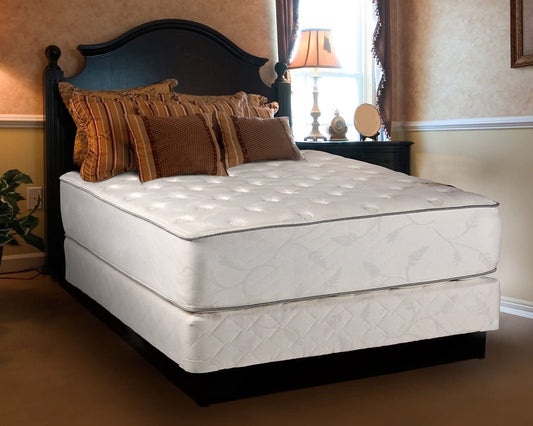 Dream Sleep Exceptional Plush Twin Size Two-Sided Mattress and Box Spring Set